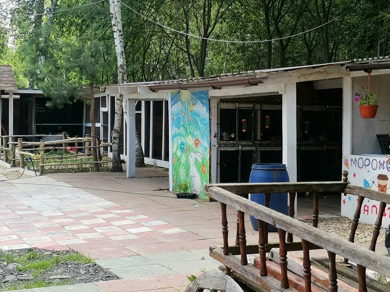 Фото Живой уголок  в ландшафтном парке "Пространство детской мечты" - развлечение в Москве | Досугатор